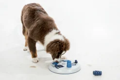 Jouet d'éveil pour chien - Flip Board