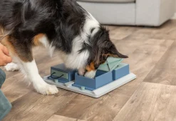 Jouet d'éveil pour chien - Poker Box 1