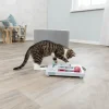 Jouet interactif Brain Mover pour chat