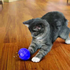 Jouet KONG Active Ball