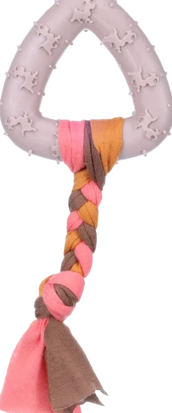 Jouet pour chiot Bunty triangle