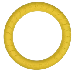 Jouet Rockfoam ring K9 Evolution