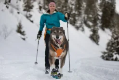 Kit Canicross Omnijore Ruffwear (ceinture + harnais), Medium