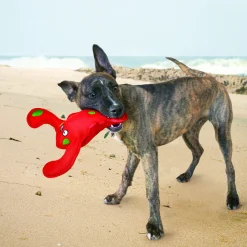 KONG Belly Flops homard