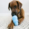 KONG Puppy Medium, jouet pour chiot 8.5 cm