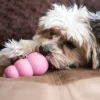 KONG Puppy Small, jouet pour chiot 7.5 cm