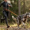 Laisse Bungee Leash 2.0 NON-STOP Dogwear - 2 m