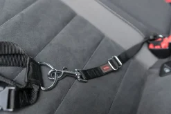 Laisse ceintrue de sécurité auto