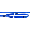 Laisse collier nylon 1.50 m x 12 mm, bleu