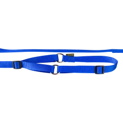 Laisse collier nylon 1.50 m x 12 mm, bleu