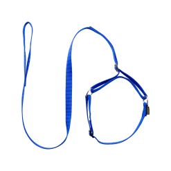 Laisse collier nylon 1.50 m x 12 mm, bleu