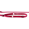 Laisse collier nylon 1.50 m x 12 mm, bordeaux
