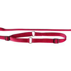 Laisse collier nylon 1.50 m x 12 mm, bordeaux