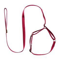 Laisse collier nylon 1.50 m x 12 mm, bordeaux