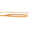 Laisse collier nylon 1.50 m x 12 mm, gold