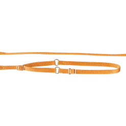 Laisse collier nylon 1.50 m x 12 mm, gold