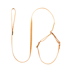 Laisse collier nylon 1.50 m x 12 mm, gold