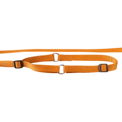 Laisse collier nylon 1.50 m x 12 mm, gold