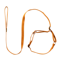 Laisse collier nylon 1.50 m x 12 mm, gold