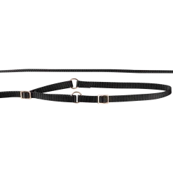 Laisse collier nylon 1.50 m x 12 mm, noir