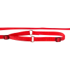 Laisse collier nylon 1.50 m x 20 mm, rouge