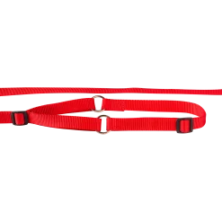 Laisse collier nylon 1.50 m x 20 mm, rouge