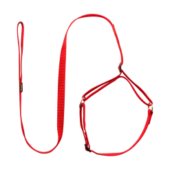 Laisse collier nylon 1.50 m x 20 mm, rouge