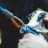 Laisse corde réfléchissante Ruffwear avec mousqueton alpin