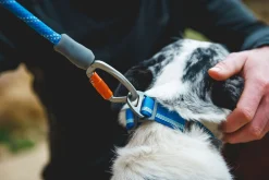 Laisse corde réfléchissante Ruffwear avec mousqueton alpin