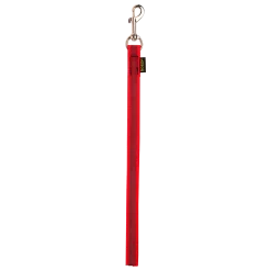 Laisse de conduite gomme 0.40 m x 20 mm Rouge