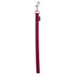 Laisse de conduite gomme 0.40 m x 20 mm Rose