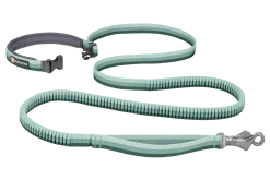 Laisse extensible Ruffwear Roamer 2.2/3.4m x 25 mm, River Rock Green