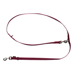 Laisse gomme 3 positions - 2 m x 20 mm Rose
