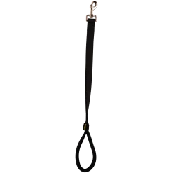 Laisse nylon double poignée rembourée, 0.60 cm x 25 mm, noir