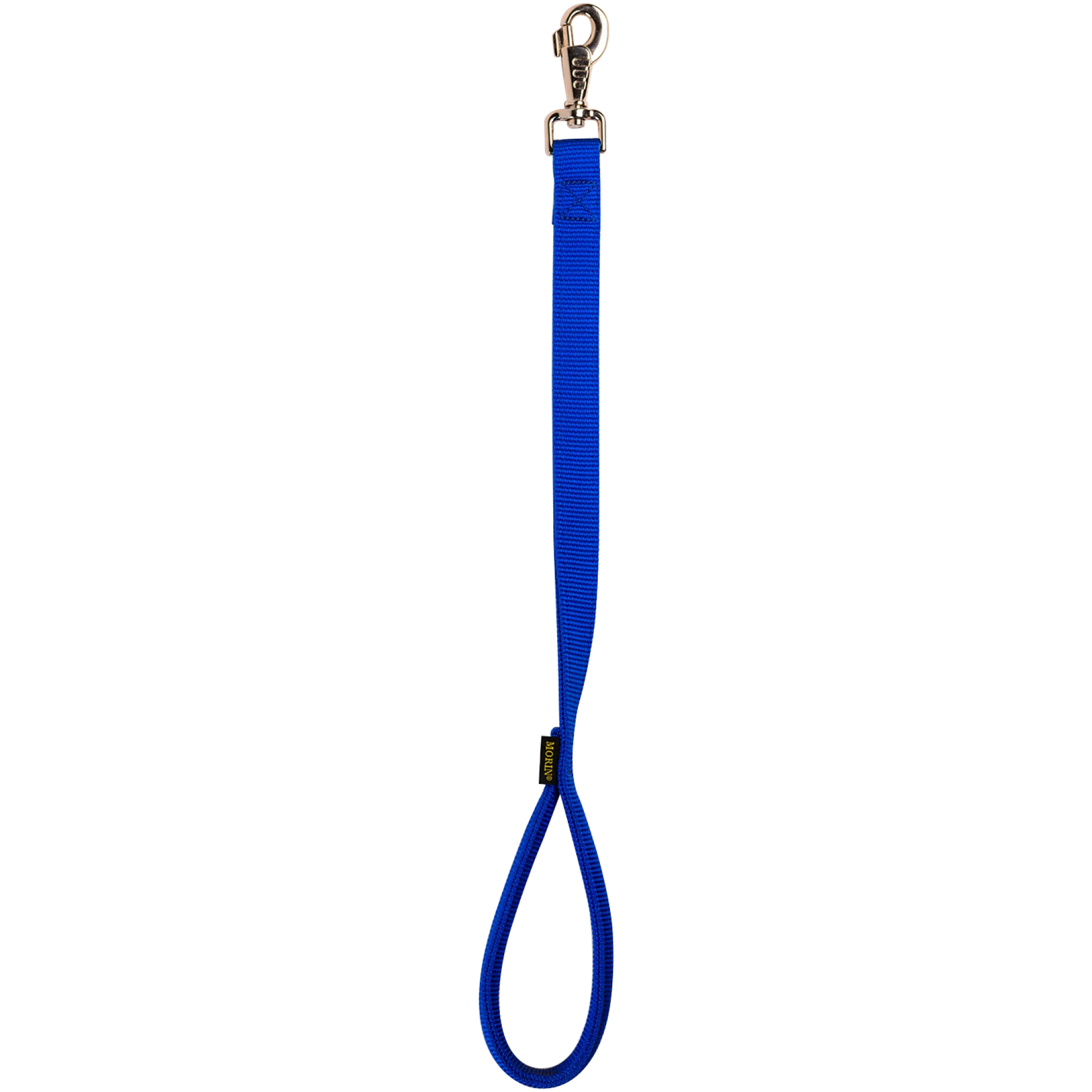 Laisse nylon double poignée rembourée, 0.60 cm x 25 mm, bleu