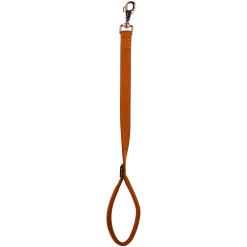 Laisse nylon double poignée rembourée, 0.60 cm x 25 mm, gold