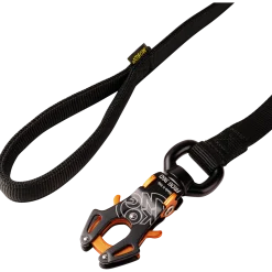 Laisse nylon double poignée rembourée, mousqueton Frog360, 1 m x 25 mm, noir