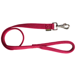 Laisse nylon double poignée rembourée, 1 m x 25 mm, bordeaux