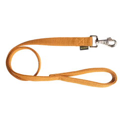 Laisse nylon double poignée rembourée, 1 m x 25 mm, gold