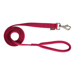 Laisse nylon double poignée rembourée, 2 m x 25 mm, bordeaux
