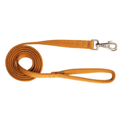 Laisse nylon double poignée rembourée, 2 m x 25 mm, gold