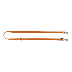 Laisse nylon double, 3 positions, gold
