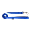 Laisse nylon 1.50 m x 20 mm, bleu