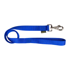 Laisse nylon 1 m x 25 mm, bleu