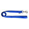 Laisse nylon 1.50 m x 25 mm, bleu