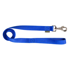 Laisse nylon 1.50 m x 25 mm, bleu