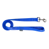 Laisse nylon 2 m x 25 mm, bleu
