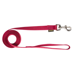 Laisse nylon 2 m x 20 mm, bordeaux