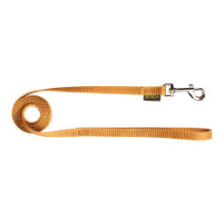 Laisse nylon 1.50 m x 12 mm, gold