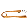 Laisse nylon 1 m x 20 mm, gold